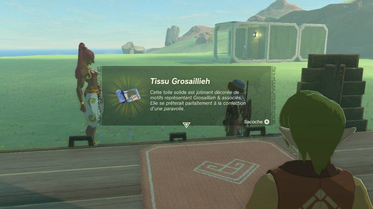 Liste Des Tissus Et Commment Personnaliser Le Paravoile Dans Zelda