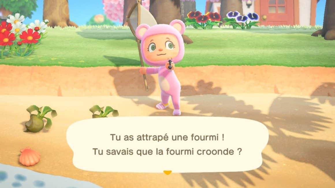 [GUIDE] Porcelette et le cours du navet dans Animal Crossing New Horizons Margxt